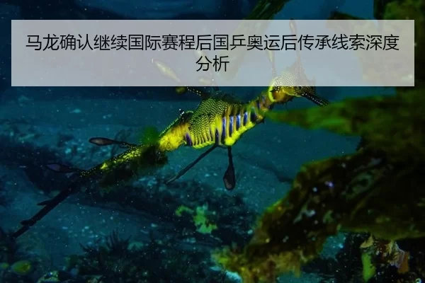 马龙确认继续国际赛程后国乒奥运后传承线索深度分析 | kaiyun